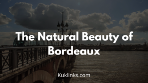 Read more about the article The Natural Beauty of Bordeaux