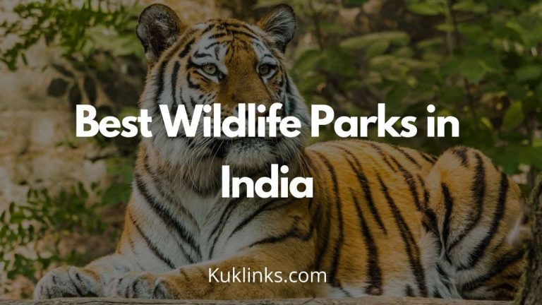 Read more about the article Best Wildlife National Park in India