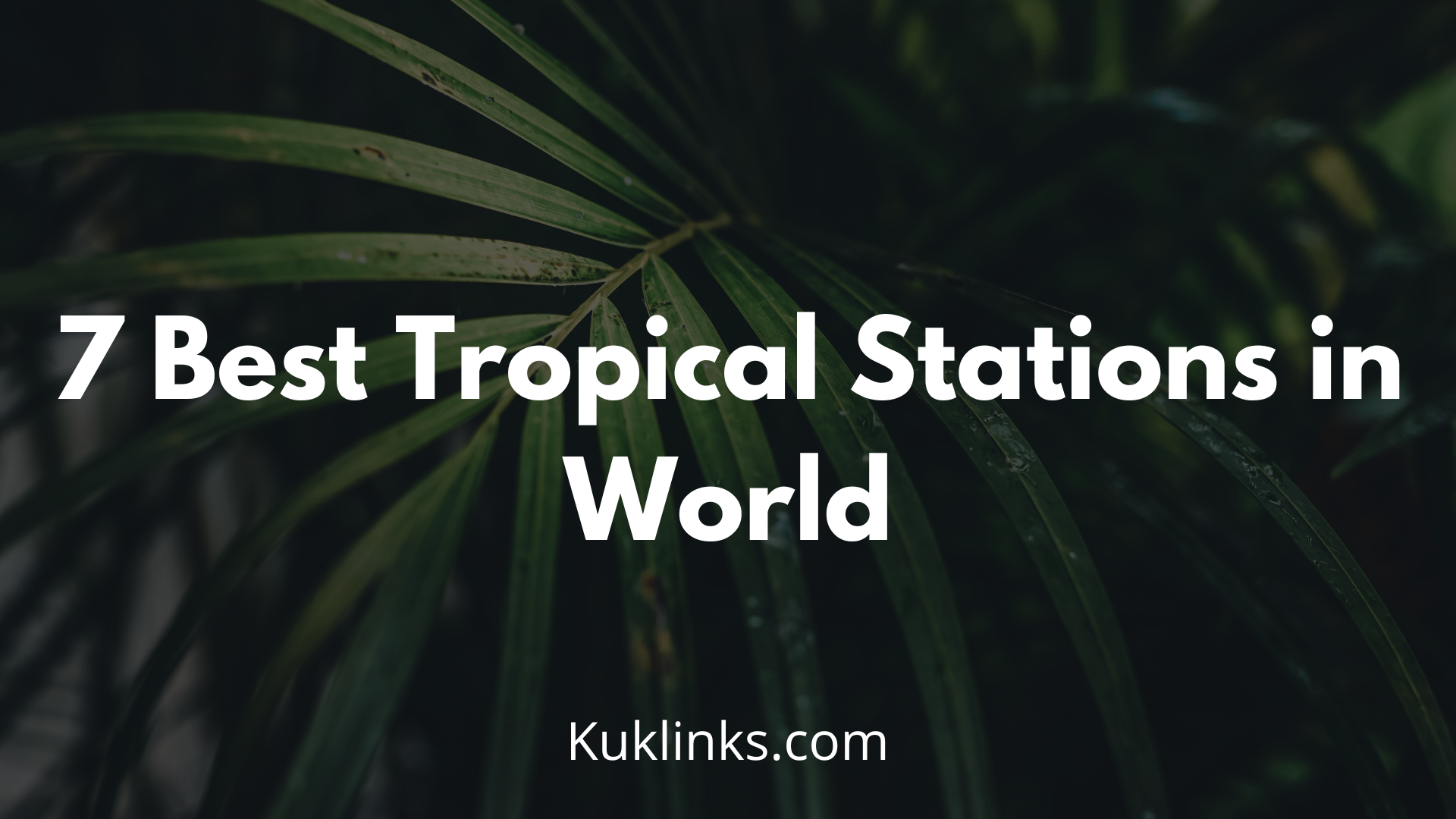 You are currently viewing 7 Best Tropical Stations in World